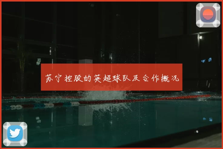 苏宁控股的英超球队及合作概况