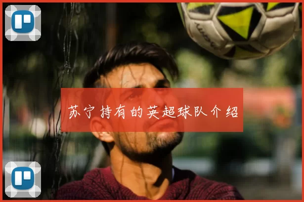 苏宁持有的英超球队介绍