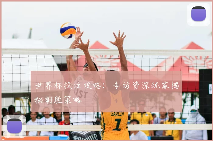 世界杯投注攻略：专访资深玩家揭秘制胜策略