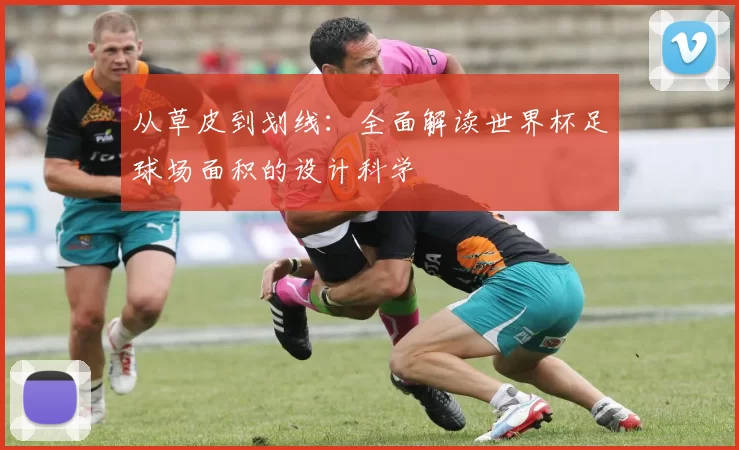 从草皮到划线:全面解读世界杯足球场面积的设计科学
