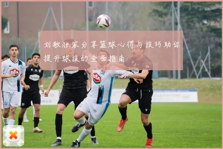 刘敏独家分享篮球心得与技巧助你提升球技的全面指南