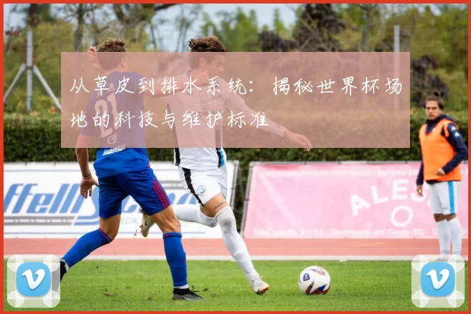 从草皮到排水系统:揭秘世界杯场地的科技与维护标准