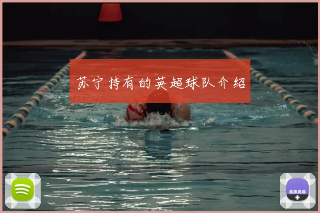 苏宁持有的英超球队介绍