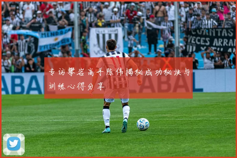 专访攀岩高手陈伟揭秘成功秘诀与训练心得分享