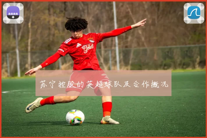 苏宁控股的英超球队及合作概况