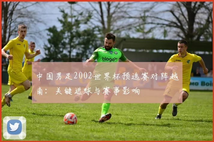中国男足2002世界杯预选赛对阵越南:关键进球与赛事影响