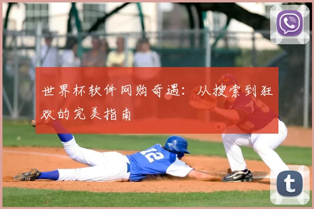 世界杯软件网购奇遇:从搜索到狂欢的完美指南