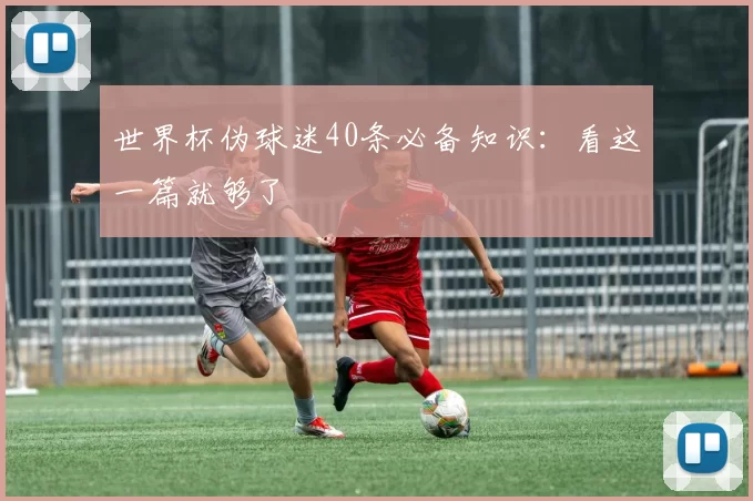 世界杯伪球迷40条必备知识：看这一篇就够了